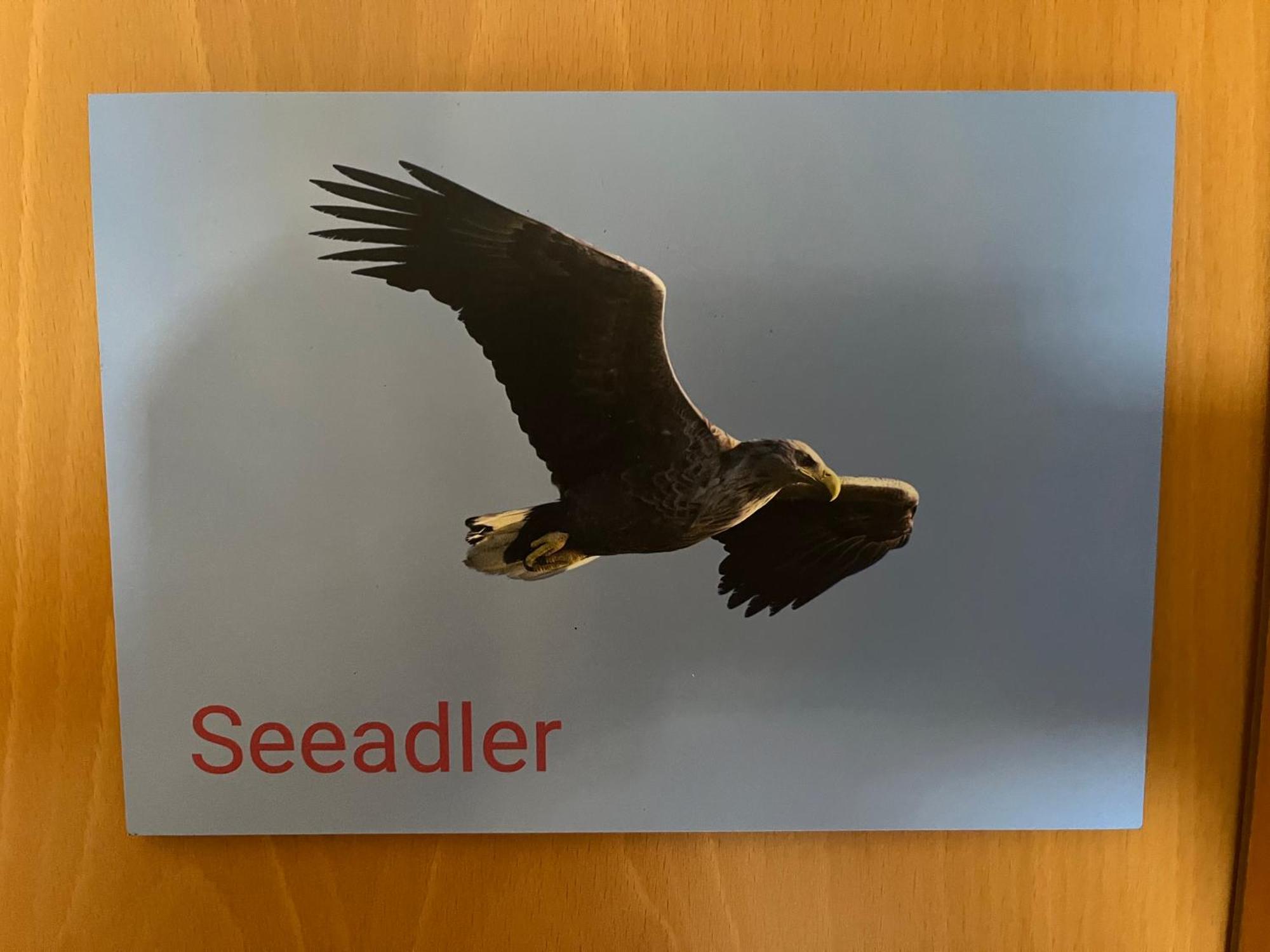 Ankerbuk, Ferienwohnung Seeadler Борн Экстерьер фото
